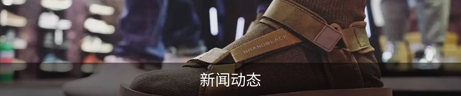 新闻动态